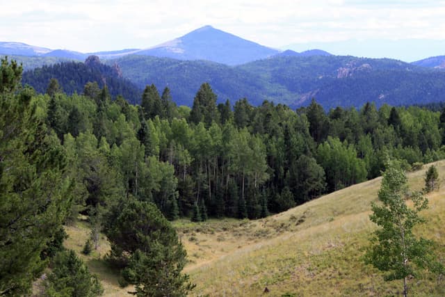 Mueller State Park (2009)