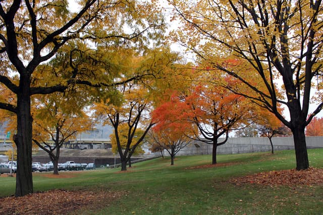 Pittsburgh in Fall (2009)