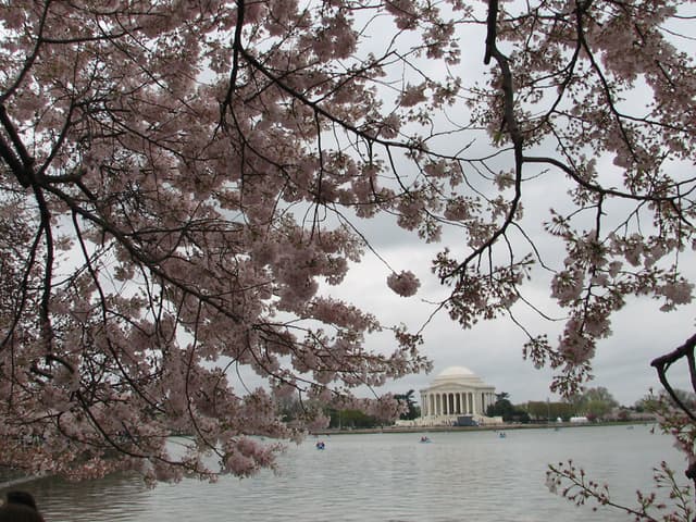 Jefferson across the water