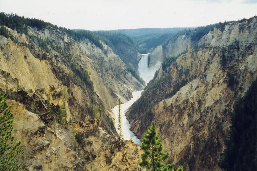 Yellowstone