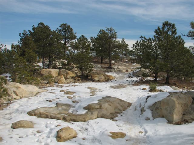 Walking in Ute Valley Park
