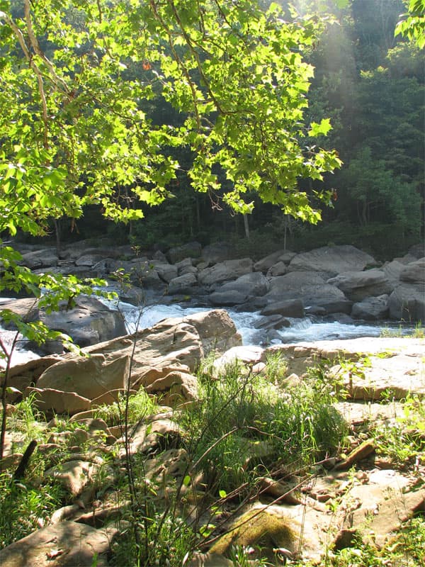 Hanging out near the river