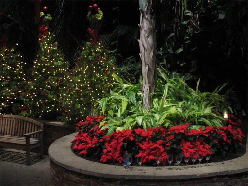 Phipps Christmas show