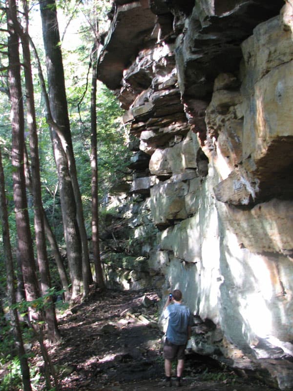 Merle near the falls