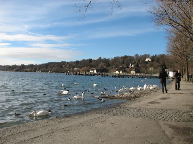 Lake Starnberg shore