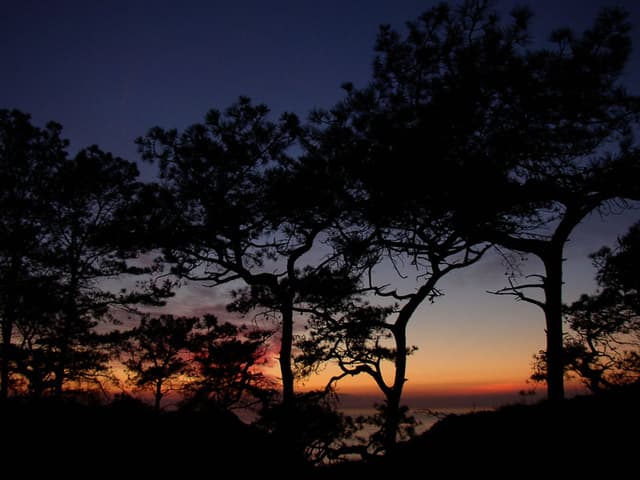 Torrey Pines sunset