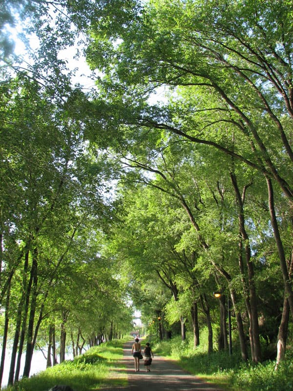 Near the Picnik Electronik