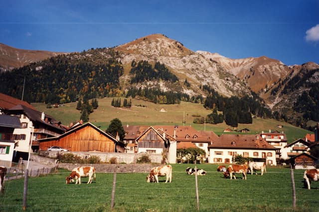 Near Gruyere