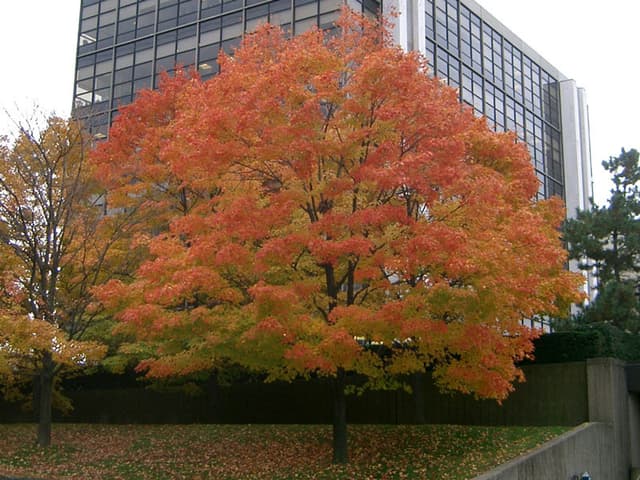 Pittsburgh (1 of 2)