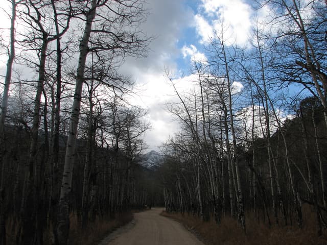 Road back to car