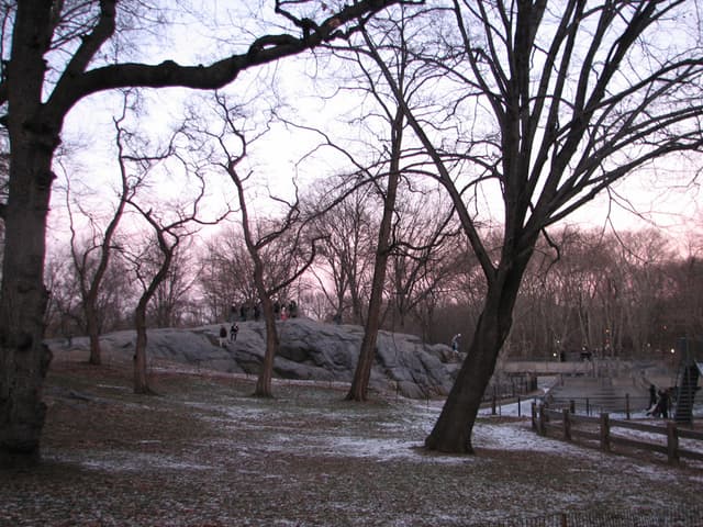 Central Park