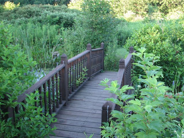 Bridge