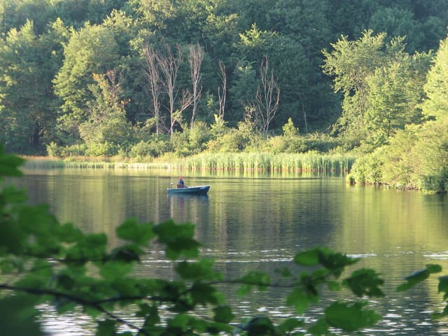 Boat on the lake