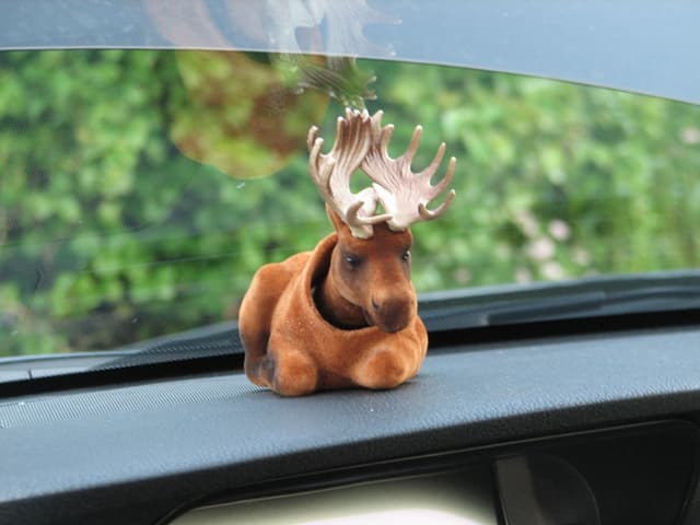 Bobble-head moose from Merle