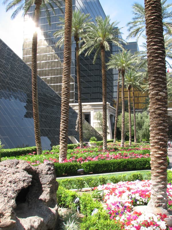 Gardens by Luxor