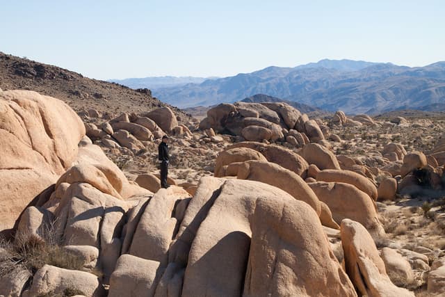 Joshua Tree National Park