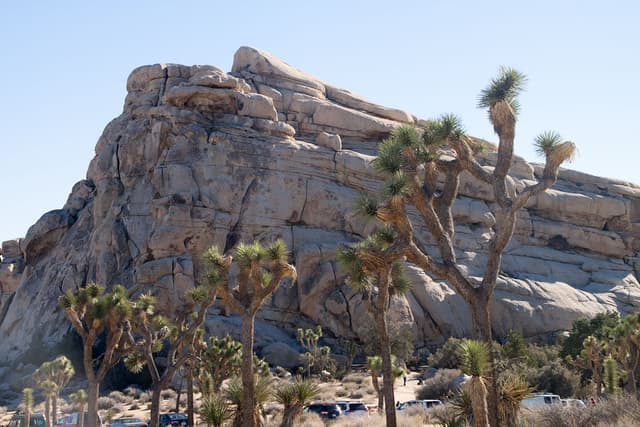 Joshua Tree National Park
