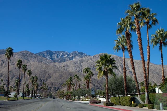 Palm Springs