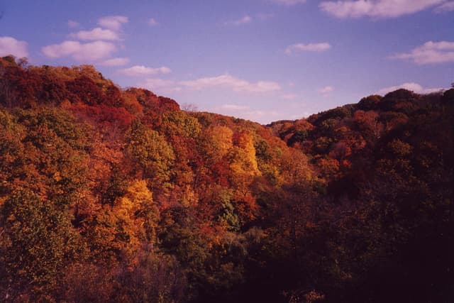 Fall colors