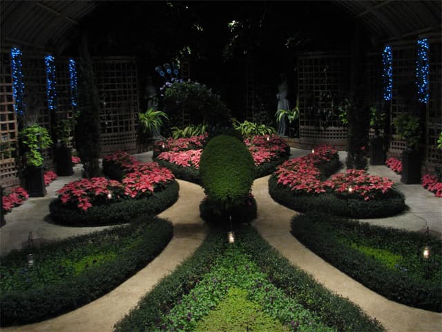 Peacock room
