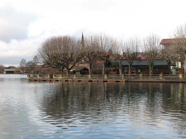 Another view