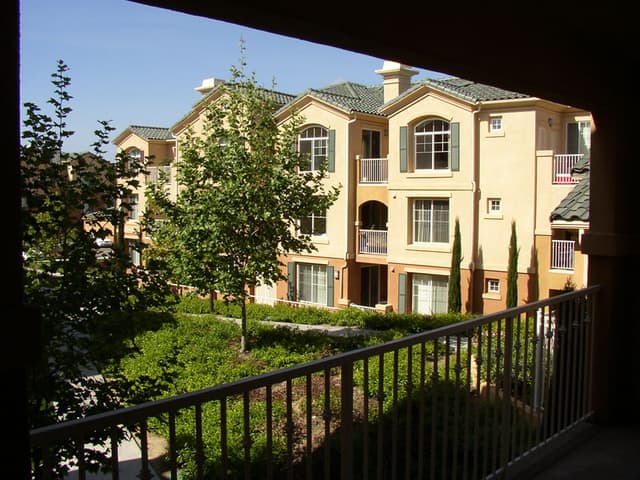 View from my patio