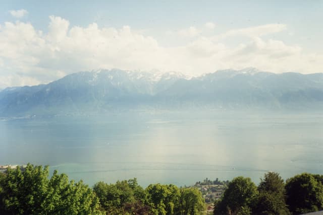Continued panorama