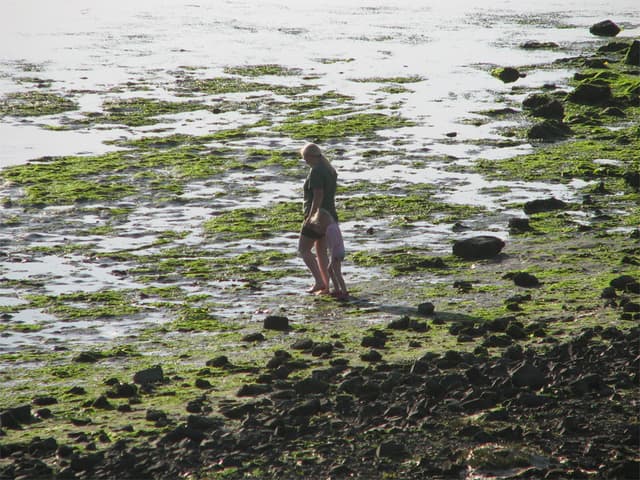 Walking in the muck